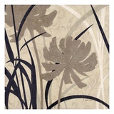 Disc -Botanical Elements 2