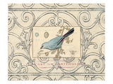 Songbird Etching 2