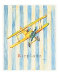 Airplane