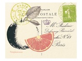 Grapefruit Letter