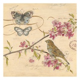 Nature's Observations 2