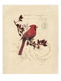 Filigree Cardinal