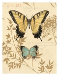 Nature's Curiosities 6