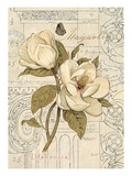 Magnolia Etching