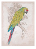 Chartreuse Tropical