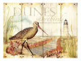 Dunes Shorebird