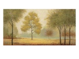 Tranquil Panorama