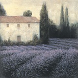 Lavender Field Detail