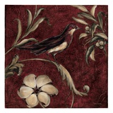Crimson Song Bird 4
