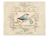 Songbird Etching 1