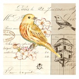 Bird Sketch 2