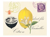 Lemon Letter
