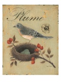 Rosehip Recollection
