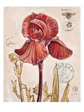 Ruby Collection 2