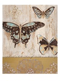 Butterfly Transformation