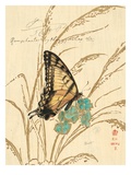 Nature's Curiosities 1