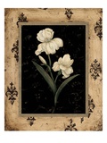 Silver Iris