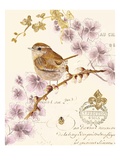 Flight of Fancy
