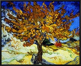 Mulberry Tree  c1889