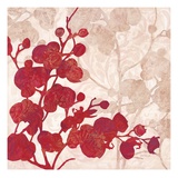 Luscious Orchid 1