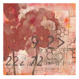 Text Primroses