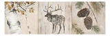 Rustic Forest Panel