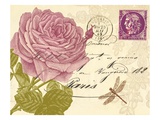 Sentimental Wishes