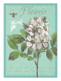 Fleurir Nouveau