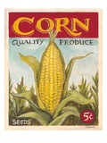 Fresh Corn