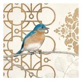 Avian Lattice 1