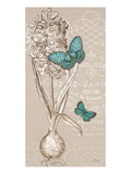 Hyacinth Bulb