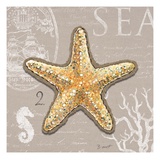 Linen Seaside 2