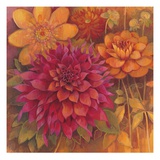 Autumn Dahlias 1