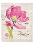 Sketchbook Tulip