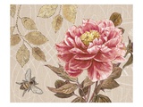 Bumble Bee and Peony