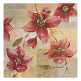 Sheer Botanical
