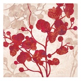 Luscious Orchid 2