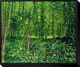 Woods and Undergrowth  c1887