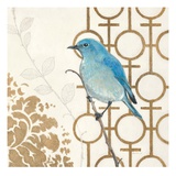 Avian Lattice 2