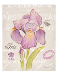 Sketchbook Iris