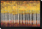 Golden Aspens