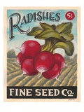 Ravishing Radishes