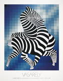 Zebras (Blue)
