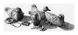 Duck Carvings