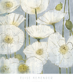 White Poppies