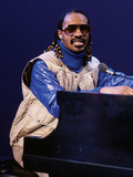 Stevie Wonder Performs  January 1980