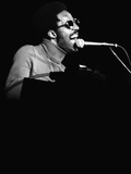Stevie Wonder Performs in Concert