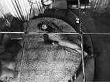 James Brown Admires the View from His Leopard Print Round Bed  October 1967