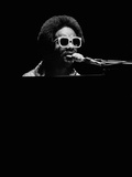 Stevie Wonder Performs in Concert