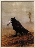 Krahe